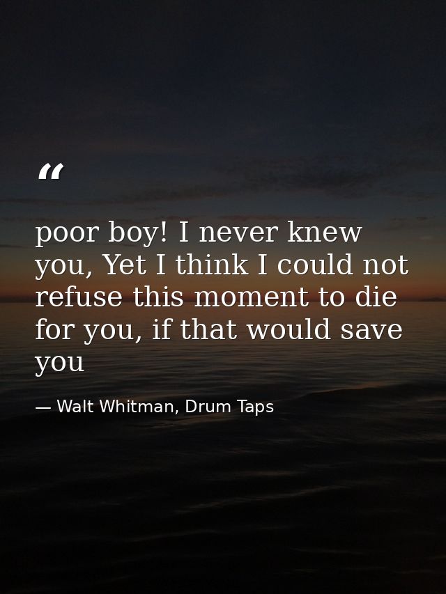 poor boy! I never knew you, Yet I think I could not refuse this moment to die for you, if that would save you — Walt Whitman, Drum Taps