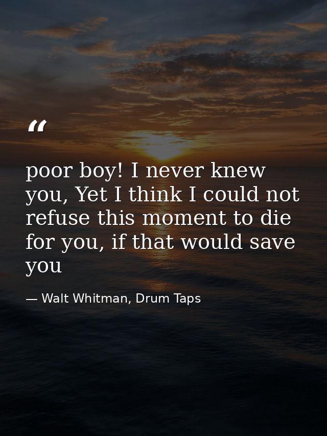 poor boy! I never knew you, Yet I think I could not refuse this moment to die for you, if that would save you — Walt Whitman, Drum Taps