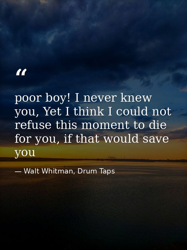 poor boy! I never knew you, Yet I think I could not refuse this moment to die for you, if that would save you — Walt Whitman, Drum Taps