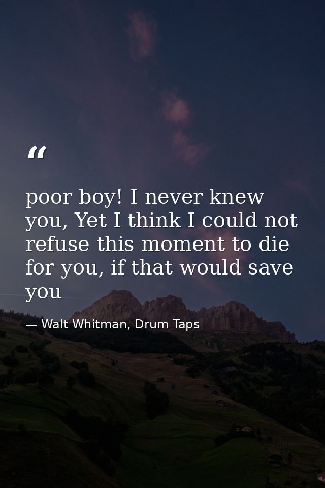 poor boy! I never knew you, Yet I think I could not refuse this moment to die for you, if that would save you — Walt Whitman, Drum Taps
