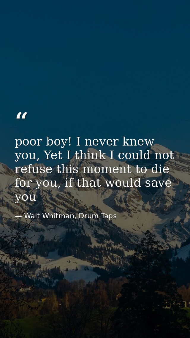 poor boy! I never knew you, Yet I think I could not refuse this moment to die for you, if that would save you — Walt Whitman, Drum Taps
