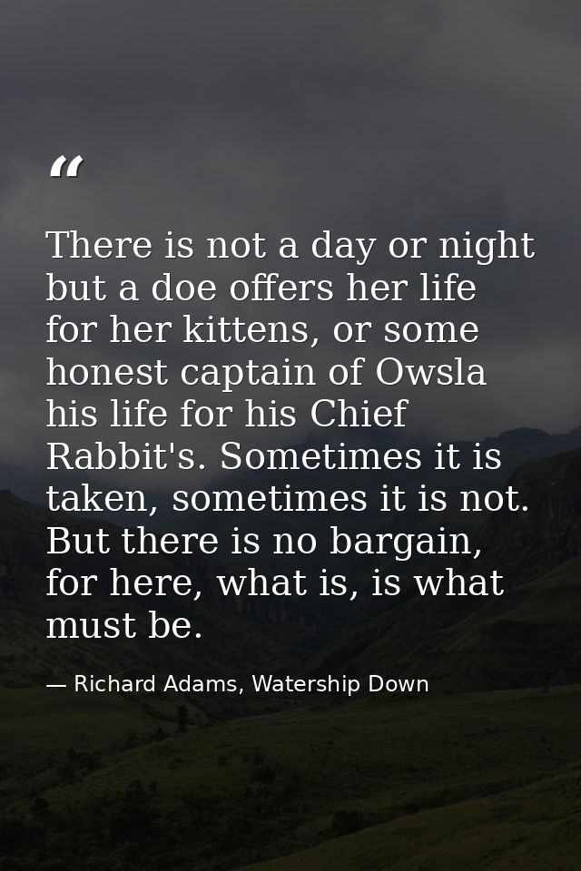 There is not a day or night but a doe offers her life for her kittens, or some honest captain of Owsla his life for his  — Richard Adams, Watership Down
