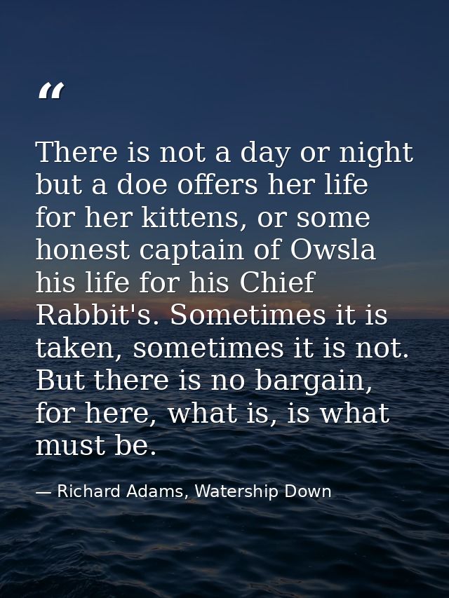 There is not a day or night but a doe offers her life for her kittens, or some honest captain of Owsla his life for his  — Richard Adams, Watership Down
