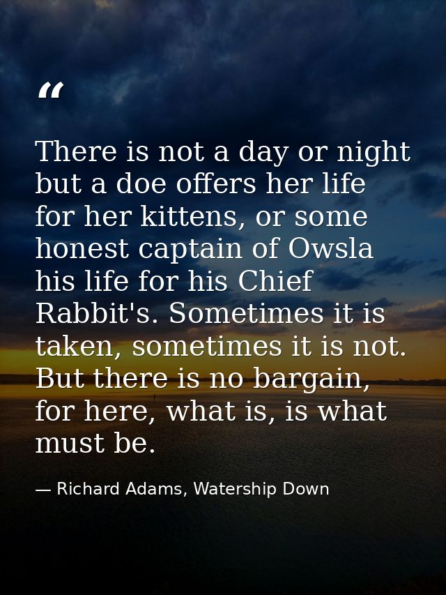 There is not a day or night but a doe offers her life for her kittens, or some honest captain of Owsla his life for his  — Richard Adams, Watership Down