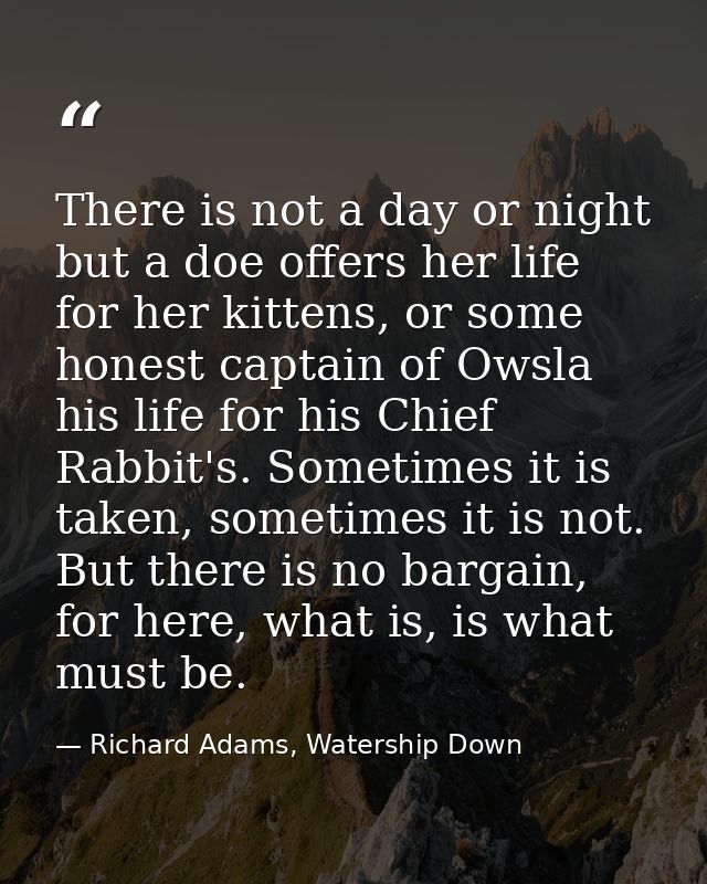 There is not a day or night but a doe offers her life for her kittens, or some honest captain of Owsla his life for his  — Richard Adams, Watership Down