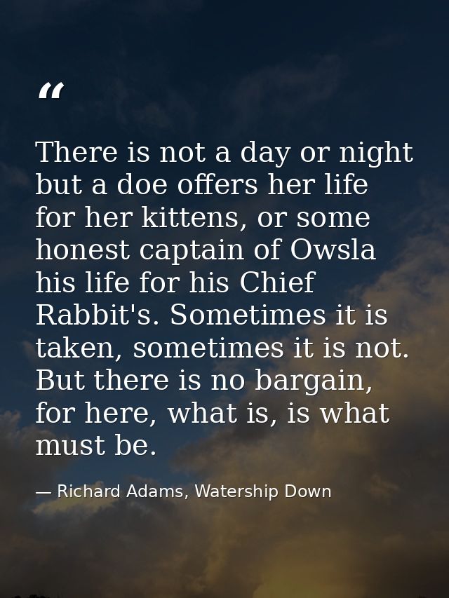 There is not a day or night but a doe offers her life for her kittens, or some honest captain of Owsla his life for his  — Richard Adams, Watership Down