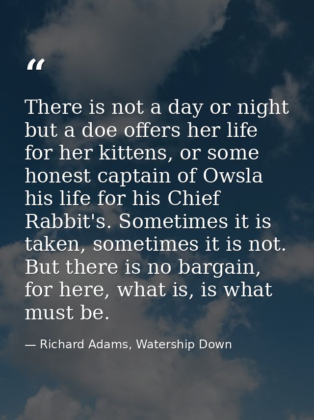 There is not a day or night but a doe offers her life for her kittens, or some honest captain of Owsla his life for his  — Richard Adams, Watership Down