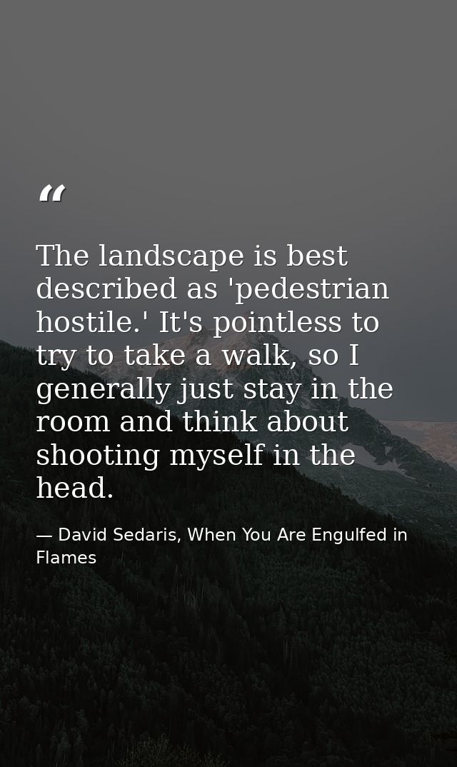 The landscape is best described as 'pedestrian hostile.' It's pointless to try to take a walk, so I generally just stay  — David Sedaris, When You Are Engulfed in Flames