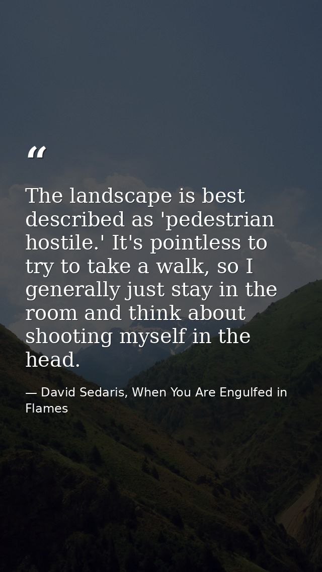 The landscape is best described as 'pedestrian hostile.' It's pointless to try to take a walk, so I generally just stay  — David Sedaris, When You Are Engulfed in Flames