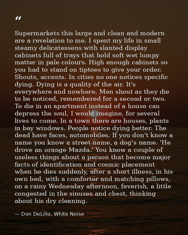 Supermarkets this large and clean and modern are a revelation to me. I spent my life in small steamy delicatessens with  — Don DeLillo, White Noise