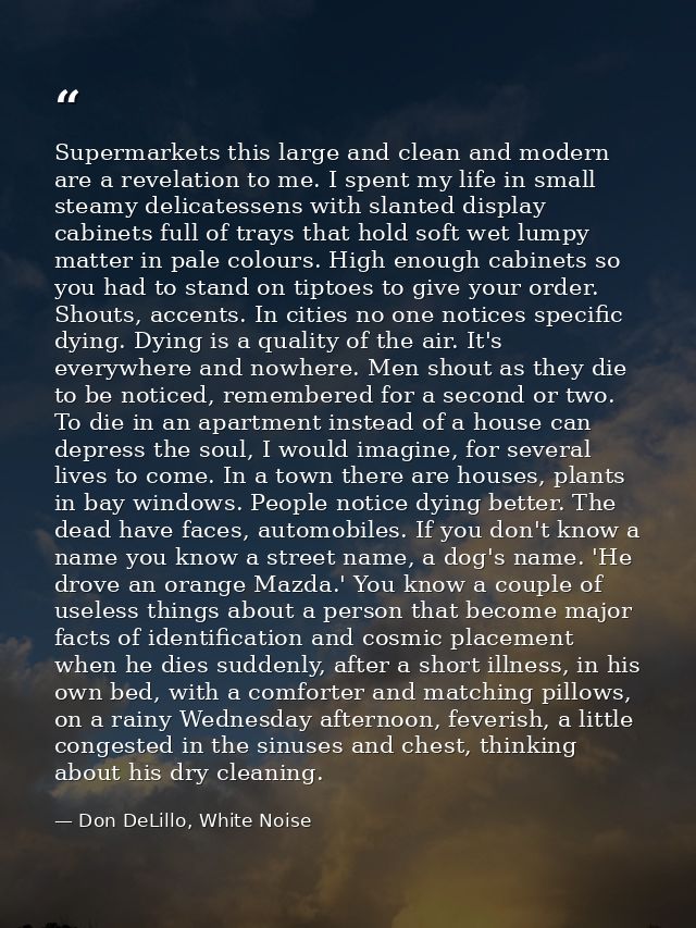 Supermarkets this large and clean and modern are a revelation to me. I spent my life in small steamy delicatessens with  — Don DeLillo, White Noise