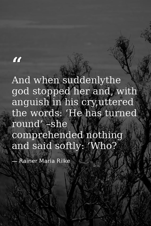 And when suddenlythe god stopped her and, with anguish in his cry,uttered the words: ‘He has turned round’ –she comprehe — Rainer Maria Rilke