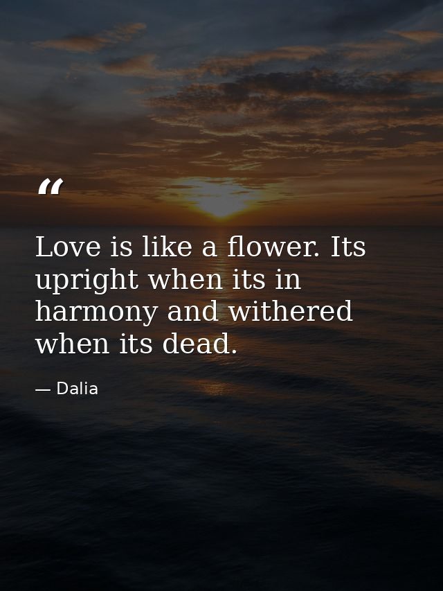 Love is like a flower. Its upright when its in harmony and withered when its dead. — Dalia