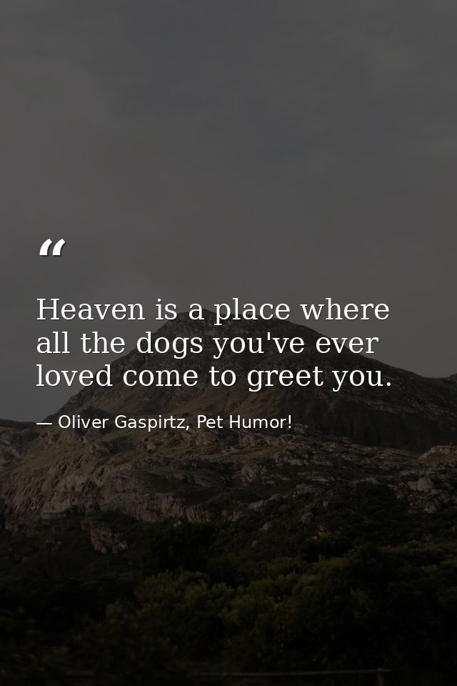 Heaven is a place where all the dogs you've ever loved come to greet you. — Oliver Gaspirtz, Pet Humor!