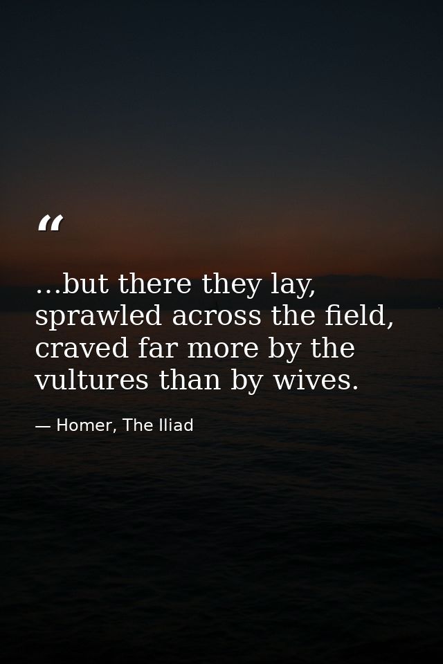 …but there they lay, sprawled across the field, craved far more by the vultures than by wives. — Homer, The Iliad