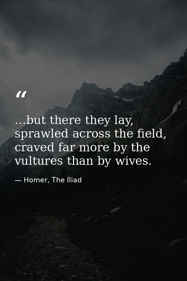 …but there they lay, sprawled across the field, craved far more by the vultures than by wives. — Homer, The Iliad