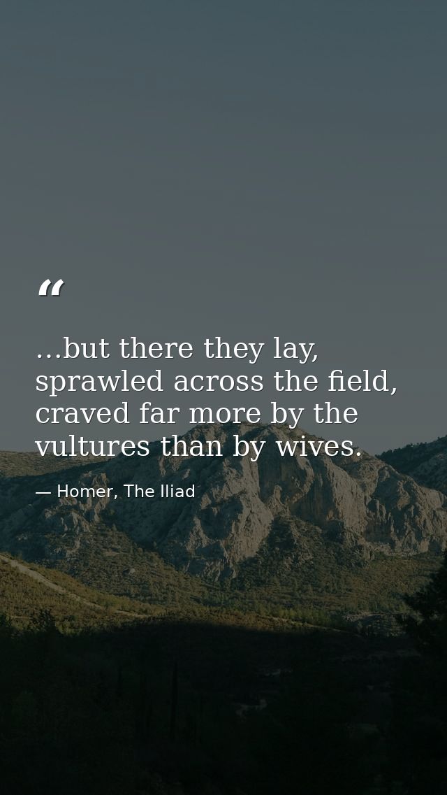 …but there they lay, sprawled across the field, craved far more by the vultures than by wives. — Homer, The Iliad