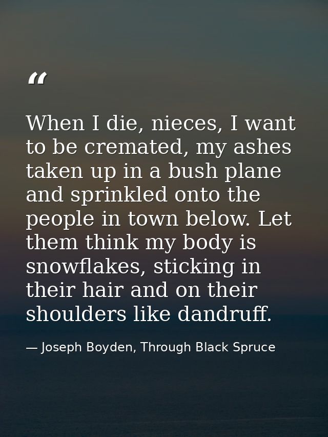 When I die, nieces, I want to be cremated, my ashes taken up in a bush plane and sprinkled onto the people in town below — Joseph Boyden, Through Black Spruce