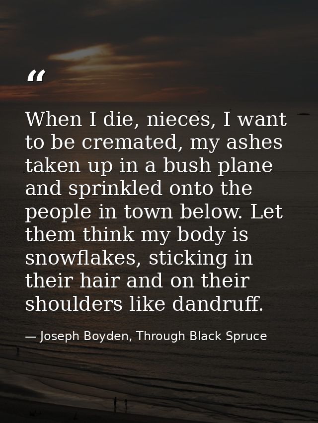When I die, nieces, I want to be cremated, my ashes taken up in a bush plane and sprinkled onto the people in town below — Joseph Boyden, Through Black Spruce