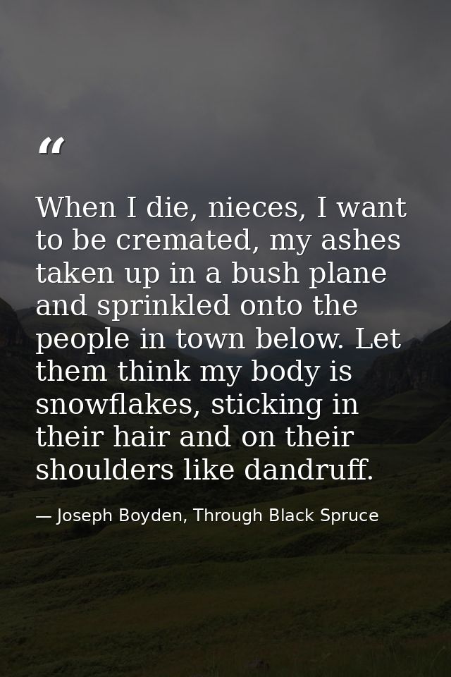 When I die, nieces, I want to be cremated, my ashes taken up in a bush plane and sprinkled onto the people in town below — Joseph Boyden, Through Black Spruce