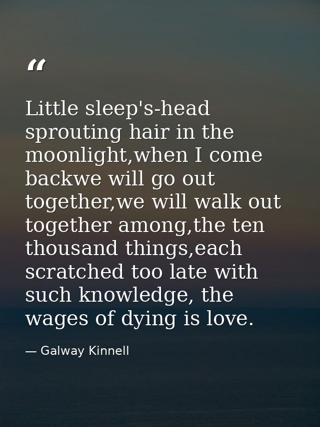 Little sleep's-head sprouting hair in the moonlight,when I come backwe will go out together,we will walk out together am — Galway Kinnell