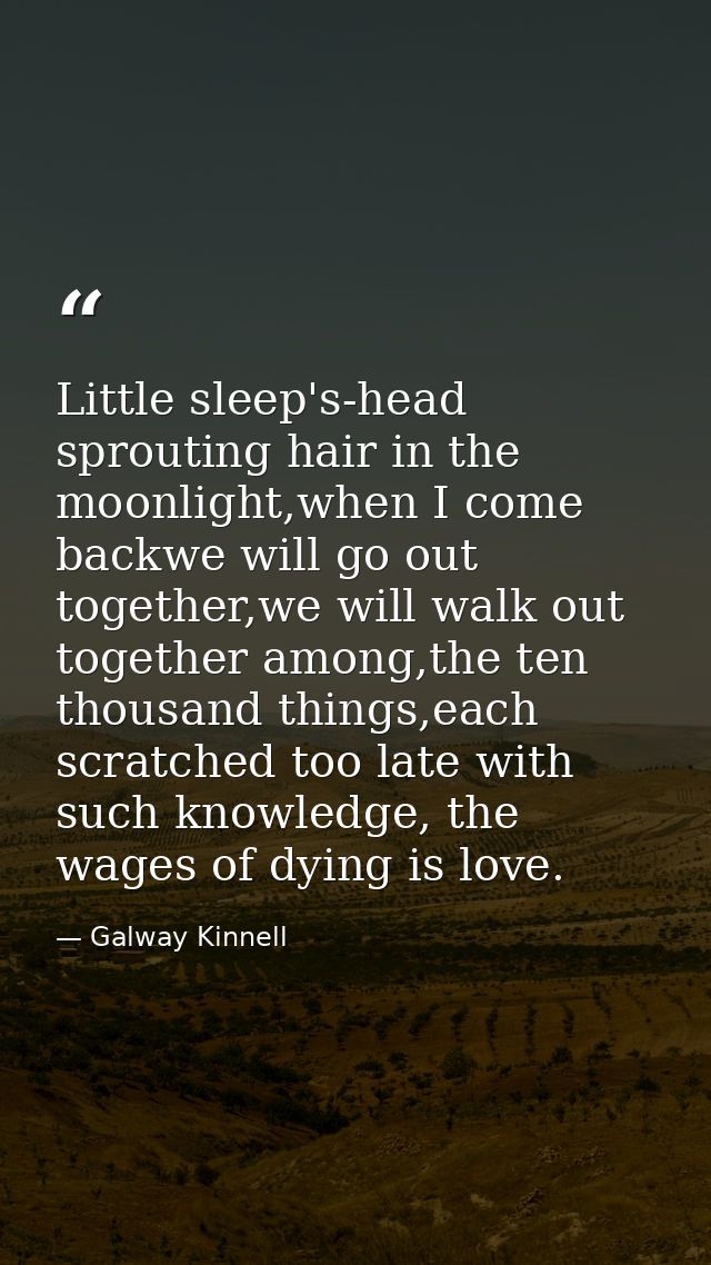 Little sleep's-head sprouting hair in the moonlight,when I come backwe will go out together,we will walk out together am — Galway Kinnell
