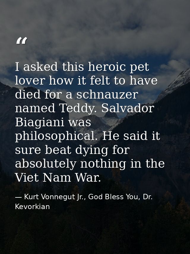 I asked this heroic pet lover how it felt to have died for a schnauzer named Teddy. Salvador Biagiani was philosophical. — Kurt Vonnegut Jr., God Bless You, Dr. Kevorkian