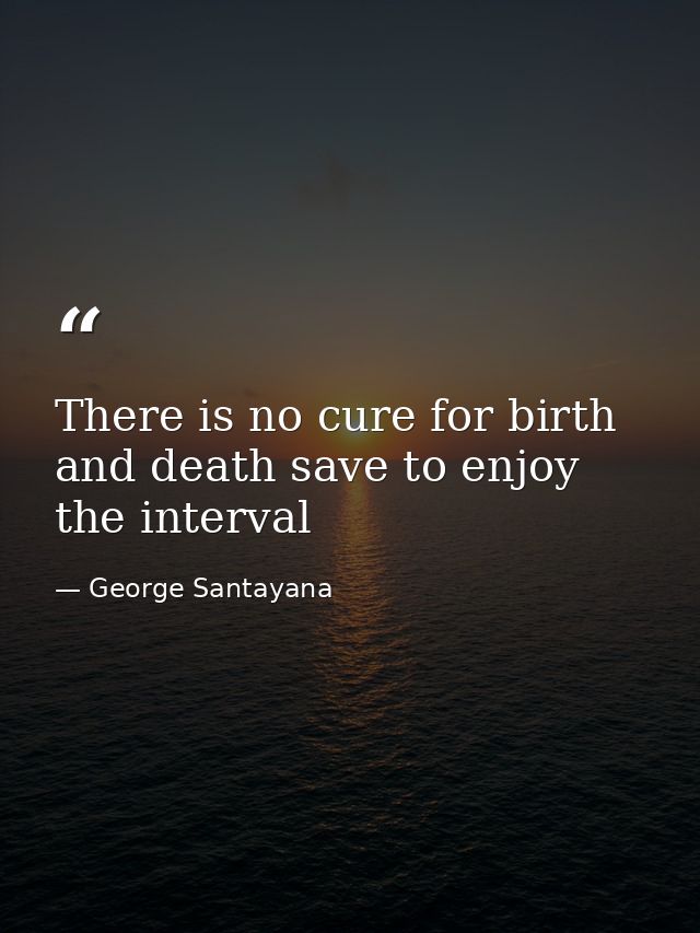 There is no cure for birth and death save to enjoy the interval — George Santayana