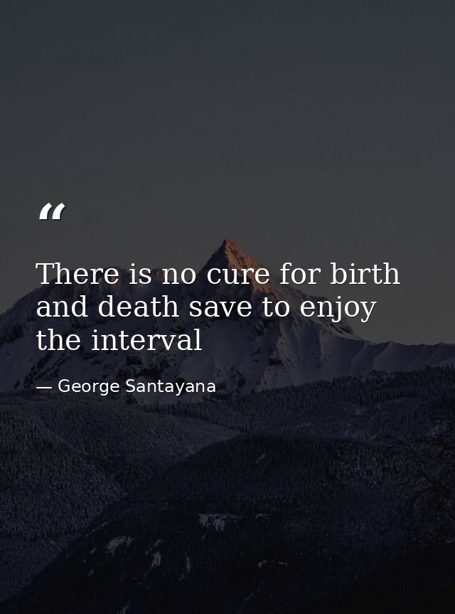 There is no cure for birth and death save to enjoy the interval — George Santayana