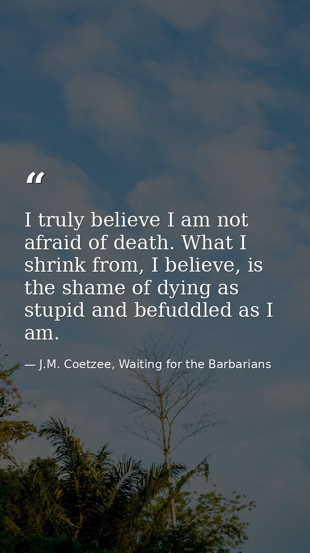 I truly believe I am not afraid of death. What I shrink from, I believe, is the shame of dying as stupid and befuddled a — J.M. Coetzee, Waiting for the Barbarians