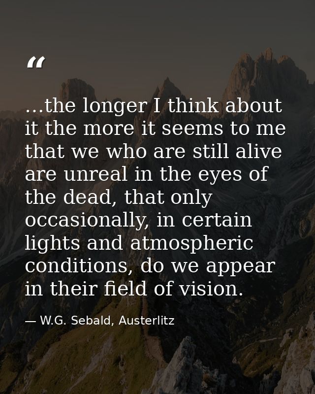 …the longer I think about it the more it seems to me that we who are still alive are unreal in the eyes of the dead, tha — W.G. Sebald, Austerlitz