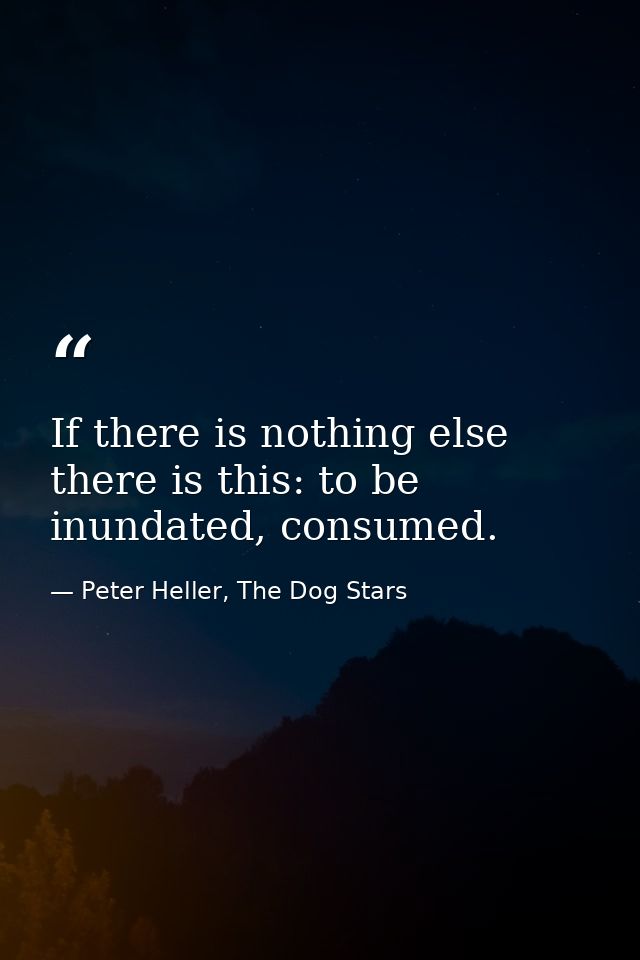 If there is nothing else there is this: to be inundated, consumed. — Peter Heller, The Dog Stars