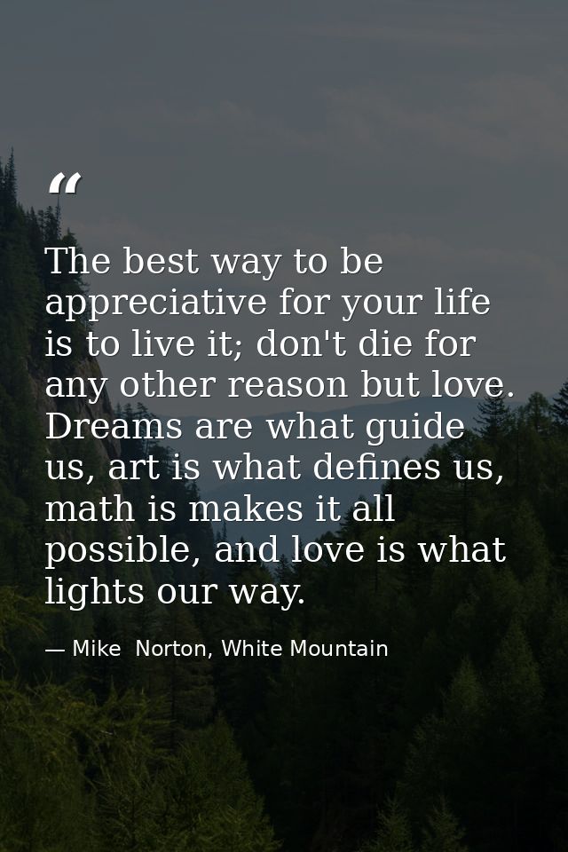 The best way to be appreciative for your life is to live it; don't die for any other reason but love. Dreams are what gu — Mike  Norton, White Mountain