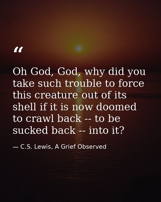 Oh God, God, why did you take such trouble to force this creature out of its shell if it is now doomed to crawl back --  — C.S. Lewis, A Grief Observed