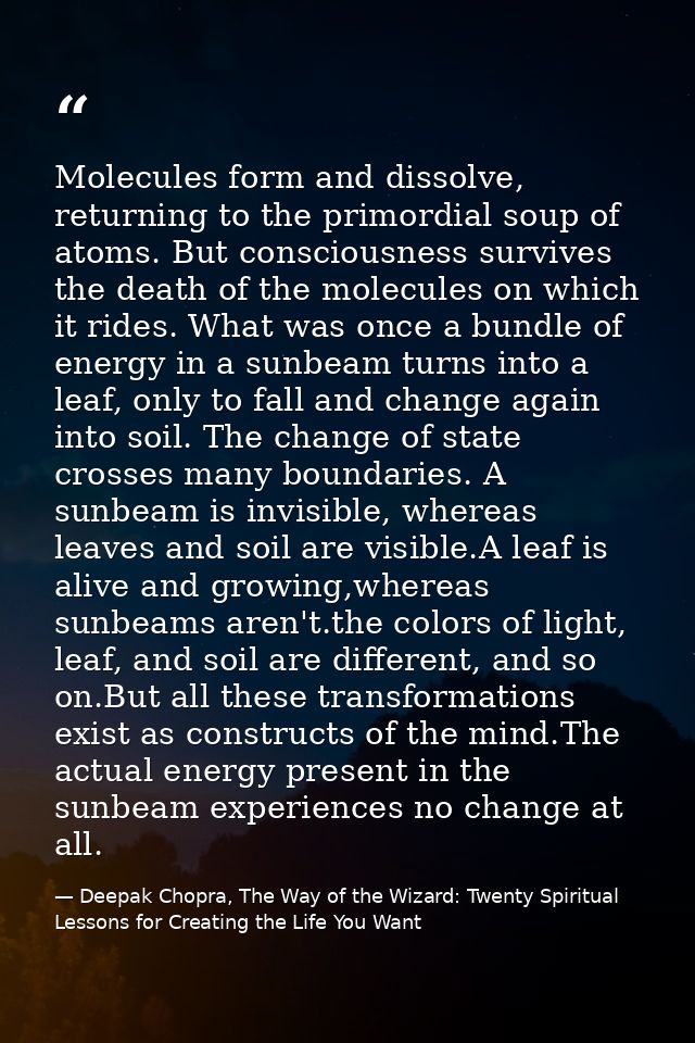 Molecules form and dissolve, returning to the primordial soup of atoms. But consciousness survives the death of the mole — Deepak Chopra, The Way of the Wizard: Twenty Spiritual Lessons for Creating the Life You Want