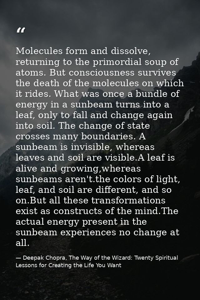 Molecules form and dissolve, returning to the primordial soup of atoms. But consciousness survives the death of the mole — Deepak Chopra, The Way of the Wizard: Twenty Spiritual Lessons for Creating the Life You Want