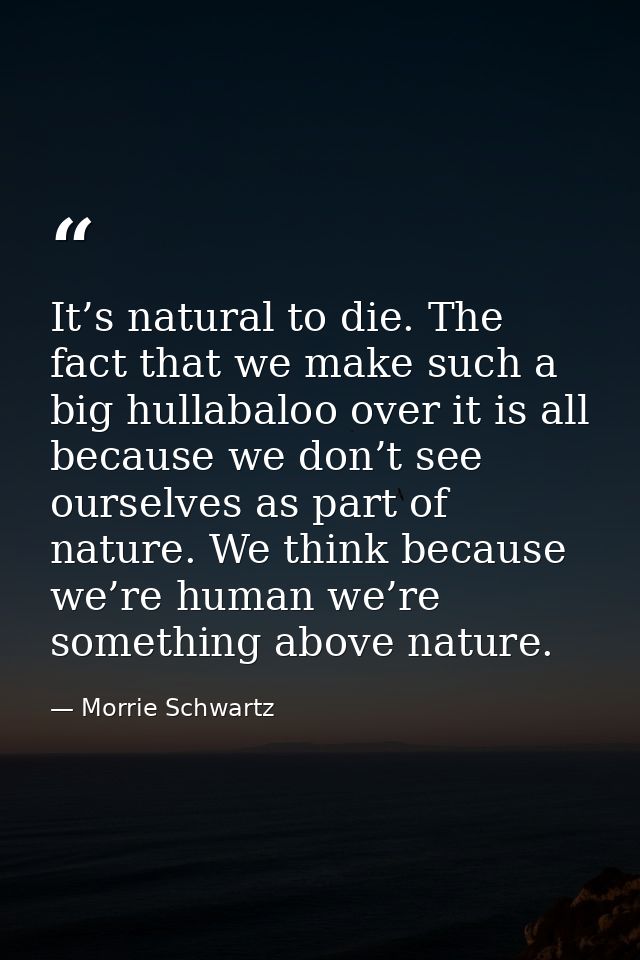 It’s natural to die. The fact that we make such a big hullabaloo over it is all because we don’t see ourselves as part o — Morrie Schwartz