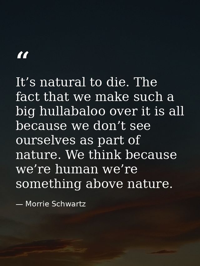 It’s natural to die. The fact that we make such a big hullabaloo over it is all because we don’t see ourselves as part o — Morrie Schwartz