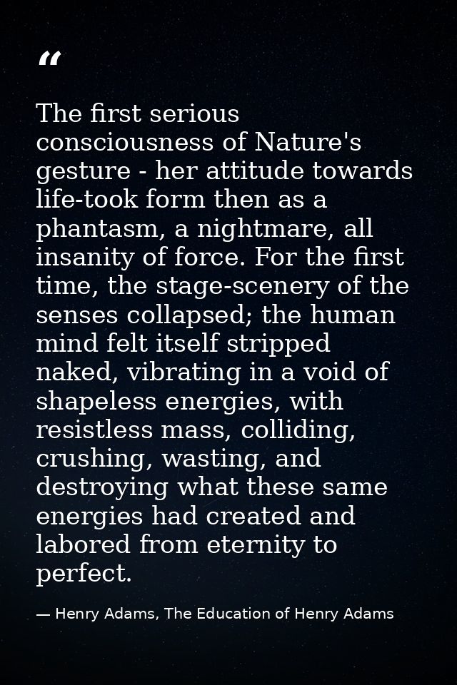 The first serious consciousness of Nature's gesture - her attitude towards life-took form then as a phantasm, a nightmar — Henry Adams, The Education of Henry Adams