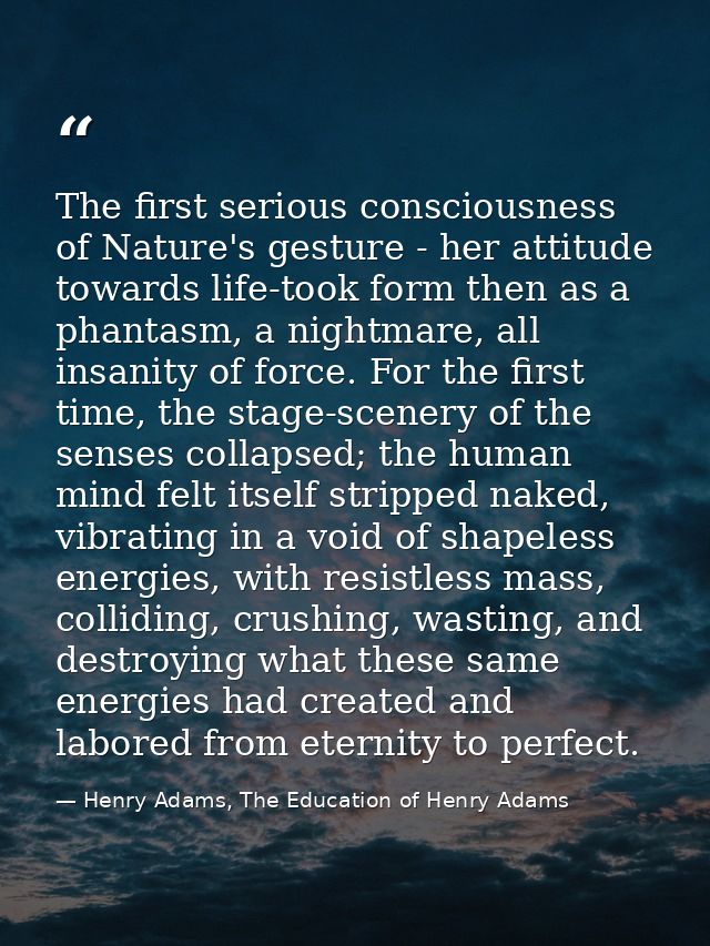 The first serious consciousness of Nature's gesture - her attitude towards life-took form then as a phantasm, a nightmar — Henry Adams, The Education of Henry Adams