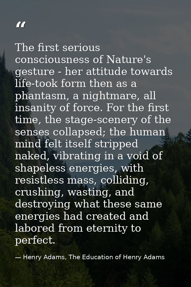 The first serious consciousness of Nature's gesture - her attitude towards life-took form then as a phantasm, a nightmar — Henry Adams, The Education of Henry Adams