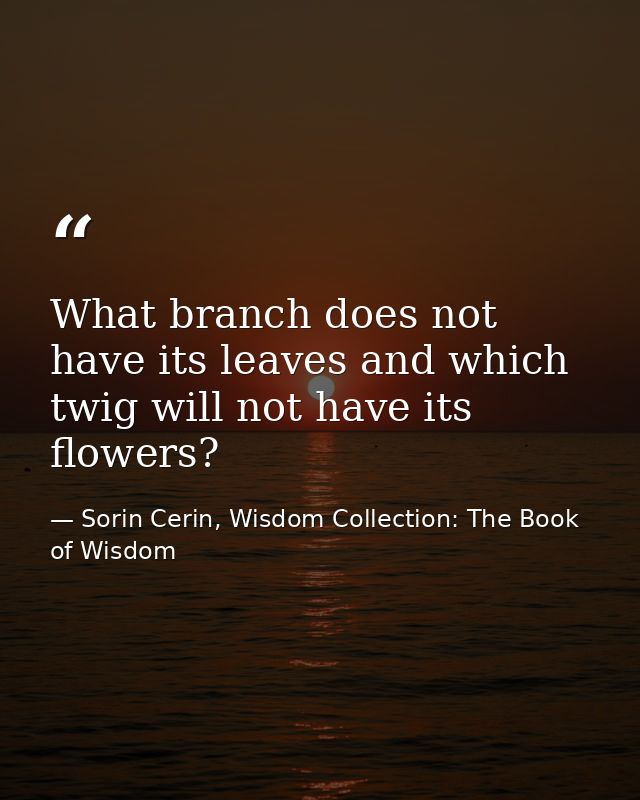 What branch does not have its leaves and which twig will not have its flowers? — Sorin Cerin, Wisdom Collection: The Book of Wisdom