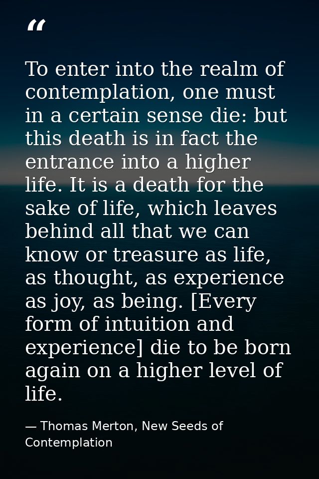 To enter into the realm of contemplation, one must in a certain sense die: but this death is in fact the entrance into a — Thomas Merton, New Seeds of Contemplation