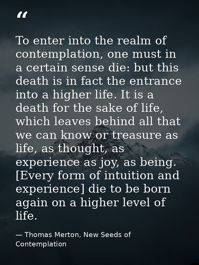 To enter into the realm of contemplation, one must in a certain sense die: but this death is in fact the entrance into a — Thomas Merton, New Seeds of Contemplation