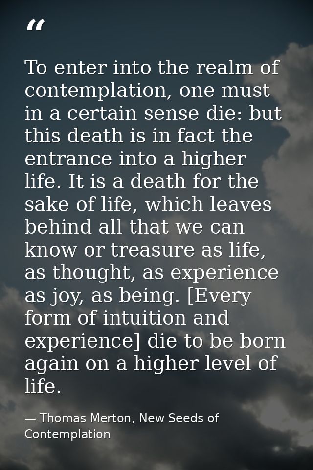 To enter into the realm of contemplation, one must in a certain sense die: but this death is in fact the entrance into a — Thomas Merton, New Seeds of Contemplation