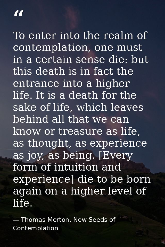 To enter into the realm of contemplation, one must in a certain sense die: but this death is in fact the entrance into a — Thomas Merton, New Seeds of Contemplation