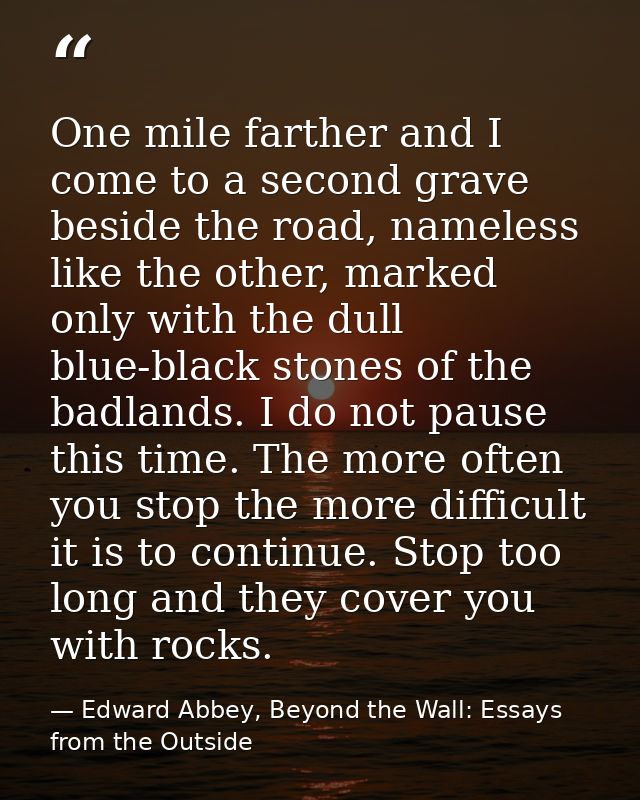 One mile farther and I come to a second grave beside the road, nameless like the other, marked only with the dull blue-b — Edward Abbey, Beyond the Wall: Essays from the Outside