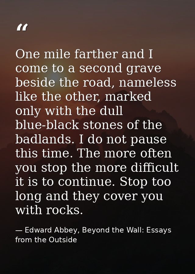One mile farther and I come to a second grave beside the road, nameless like the other, marked only with the dull blue-b — Edward Abbey, Beyond the Wall: Essays from the Outside