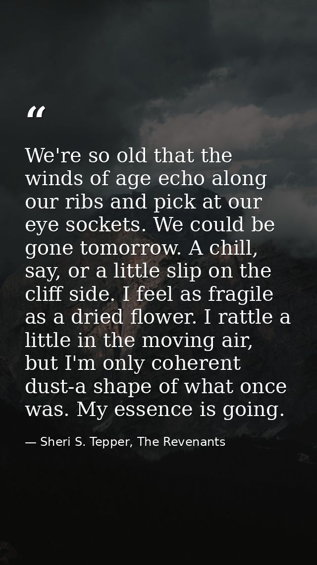 We're so old that the winds of age echo along our ribs and pick at our eye sockets. We could be gone tomorrow. A chill,  — Sheri S. Tepper, The Revenants