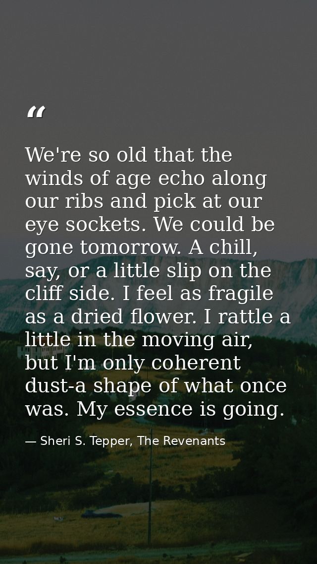 We're so old that the winds of age echo along our ribs and pick at our eye sockets. We could be gone tomorrow. A chill,  — Sheri S. Tepper, The Revenants